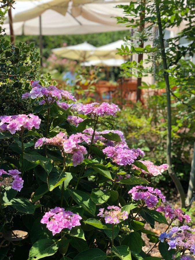 Il Baco Da Seta Villa Manta ภายนอก รูปภาพ